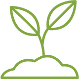 Plant coming out of soil doodle image Plant 1 tree per skip hire with Mobile skips carbon nautral program