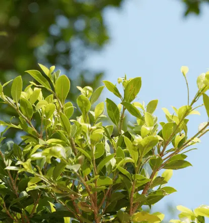 environmental impact (1) environmental impact 1