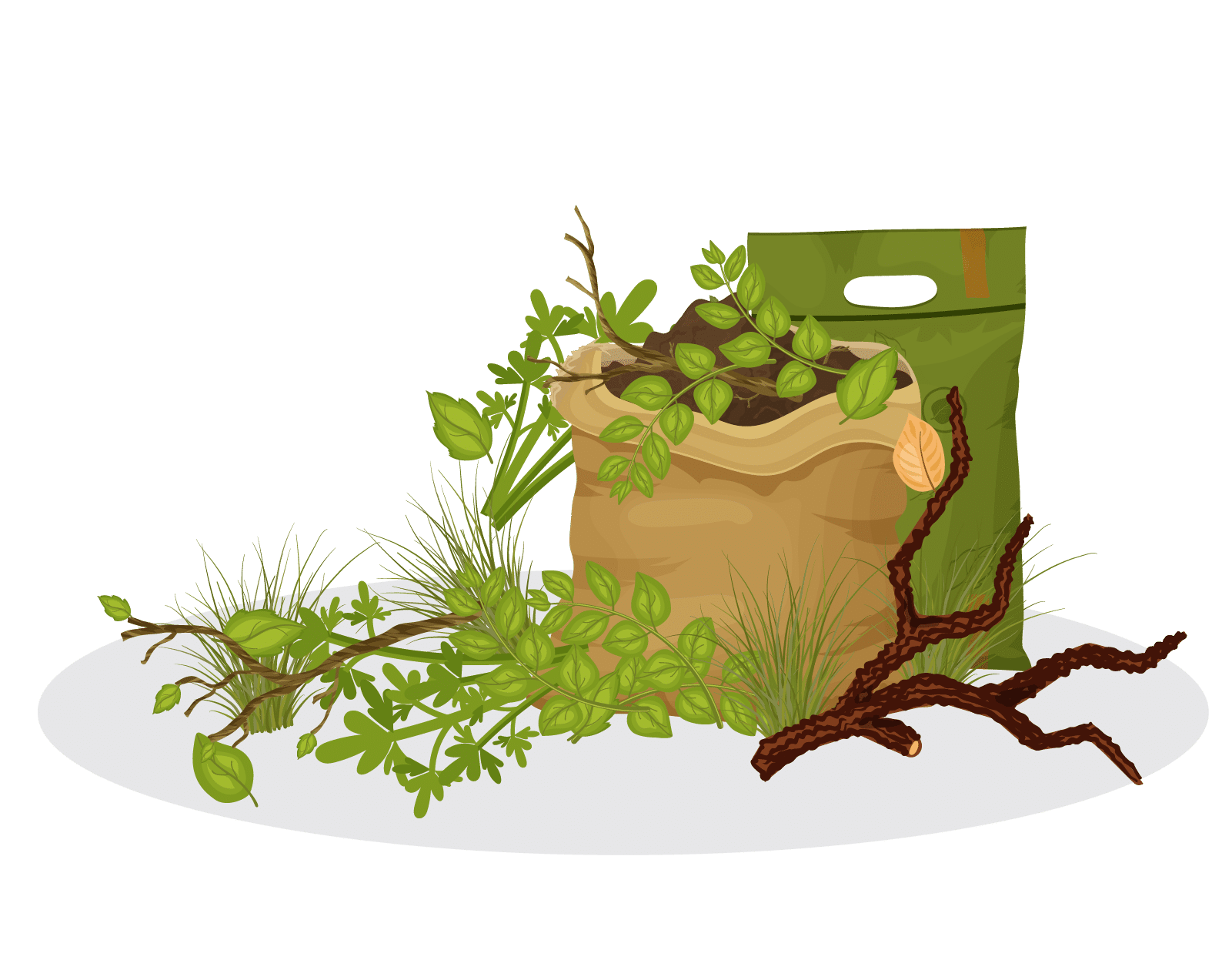 Gardening during isolation? Here are some tips on starting up a garden.