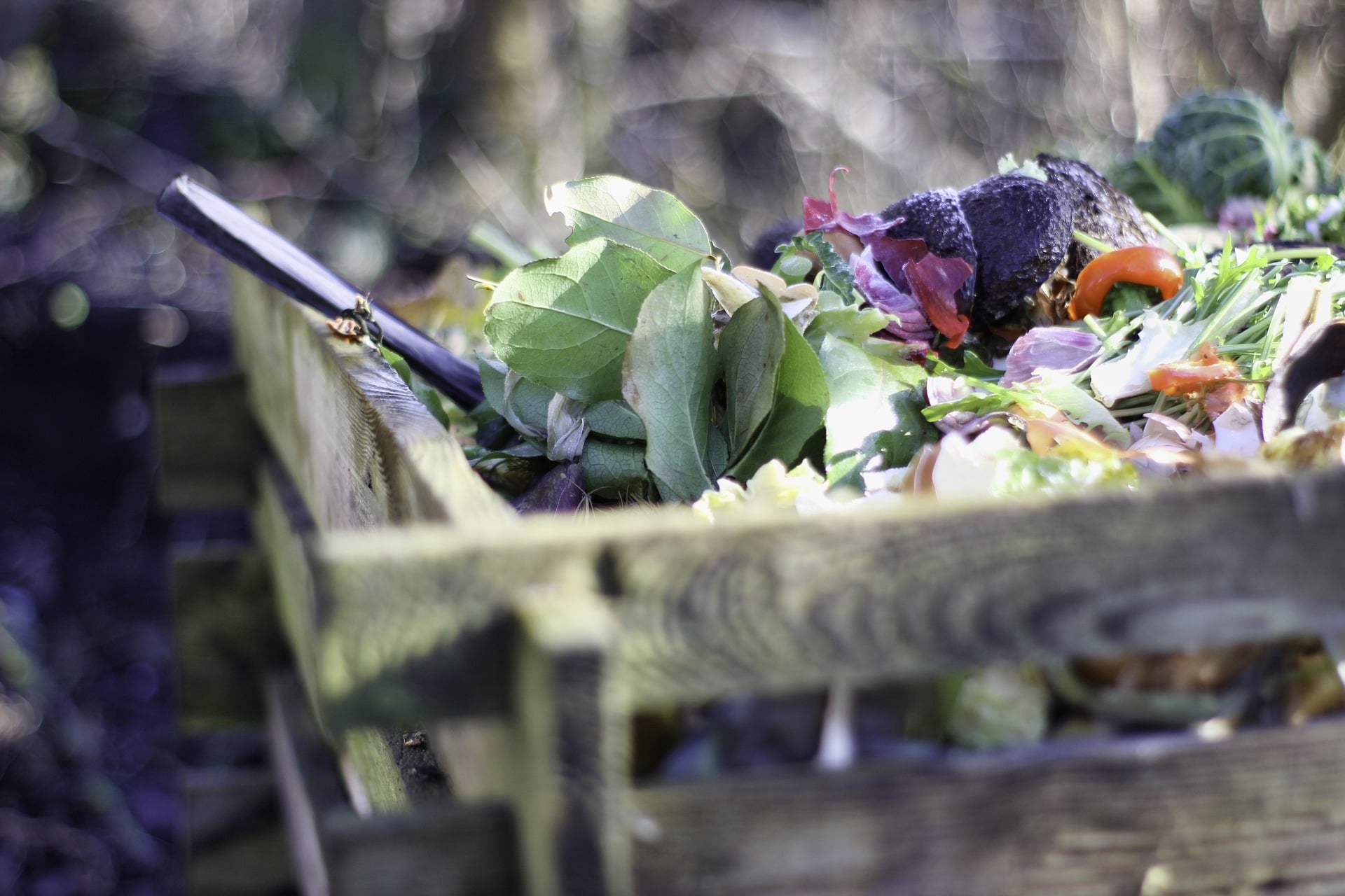 Green Waste Management Melbourne