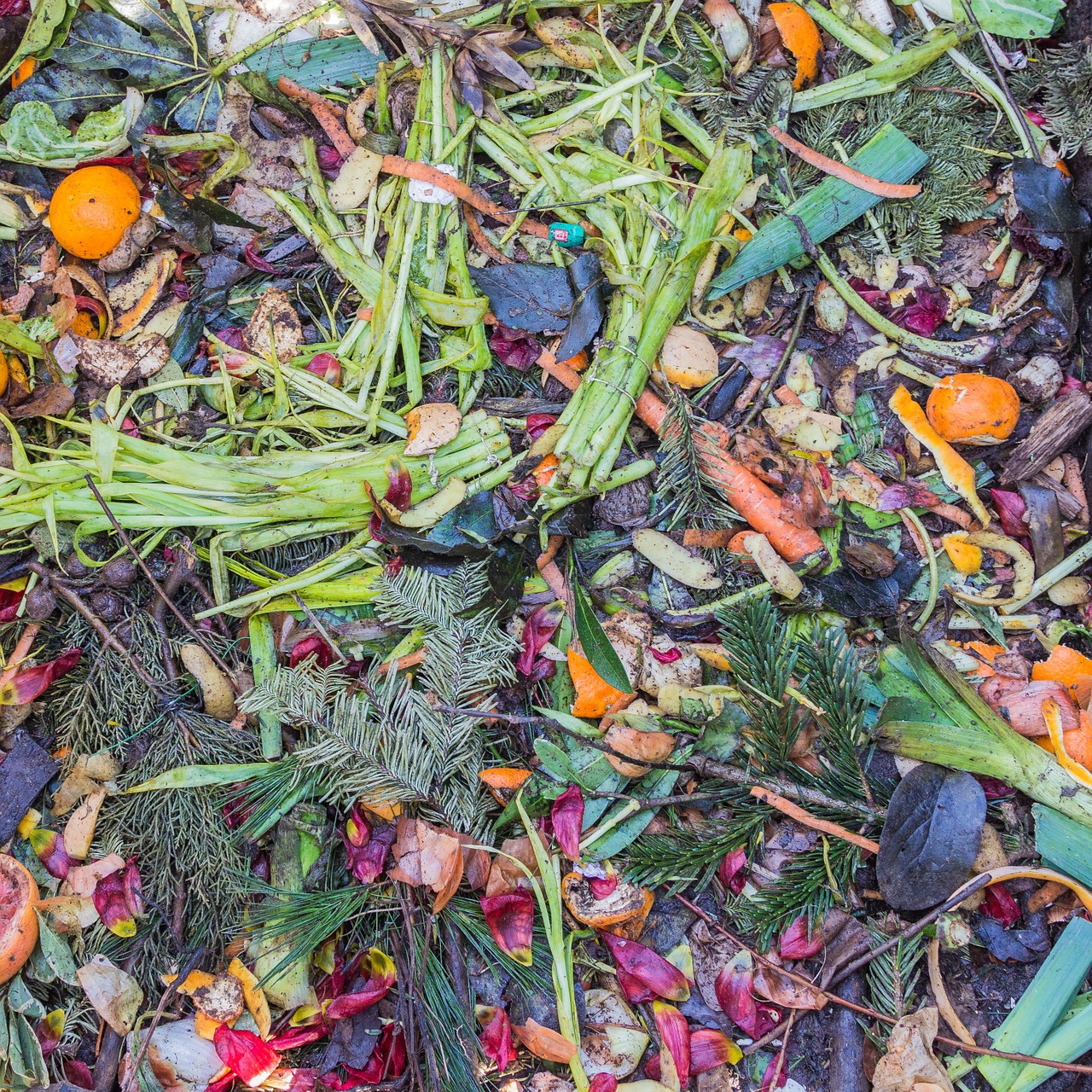 Green Waste Management Sydney