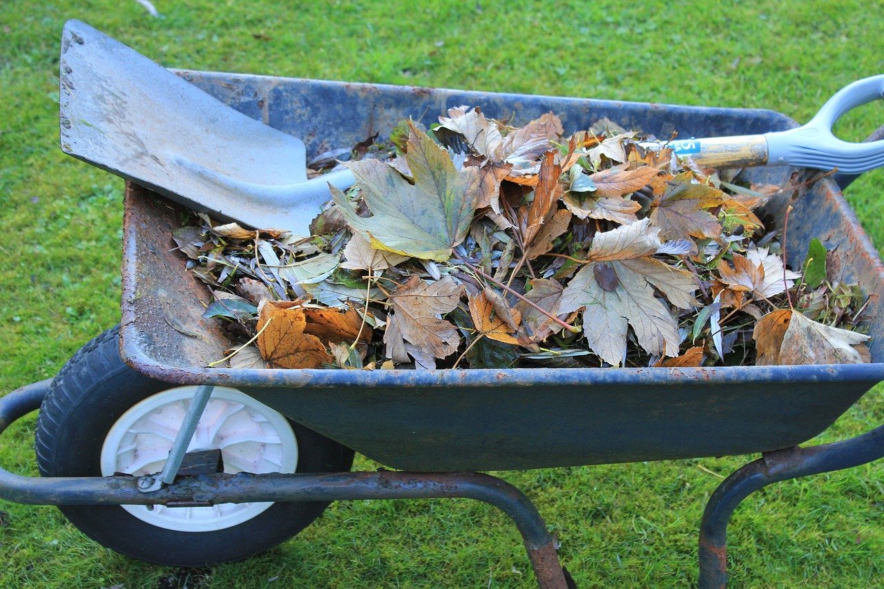 How To Get Rid Of Green Waste/Rubbish In Brisbane