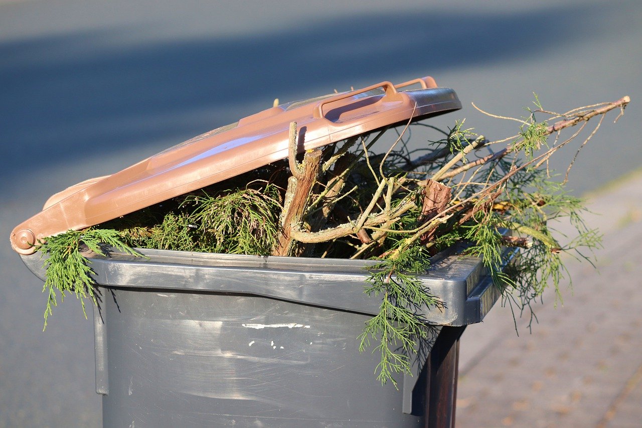 Dealing With Green Waste In Adelaide