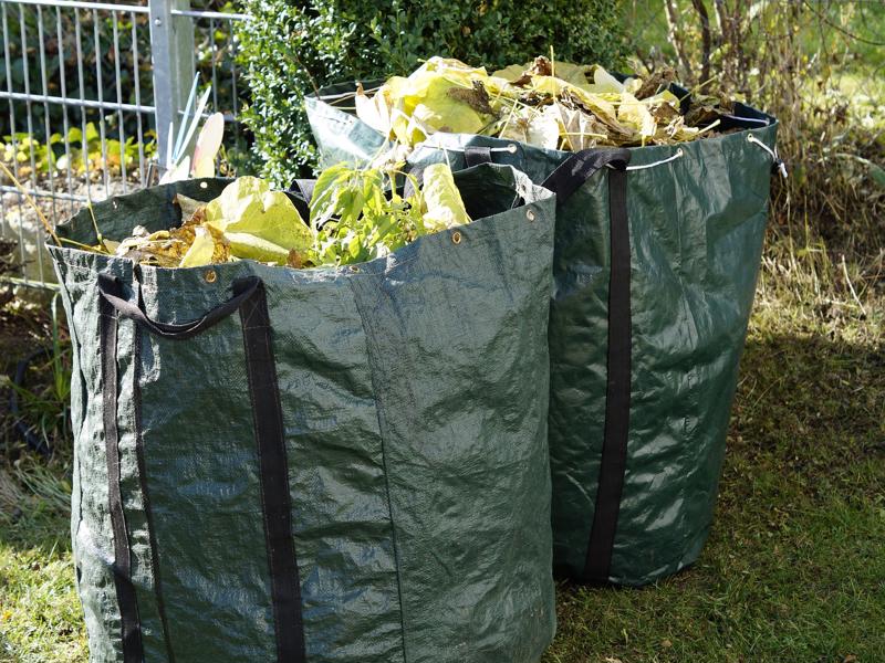 Sticks, Stones, and Grass Clippings: Can Green Waste Be Recycled?