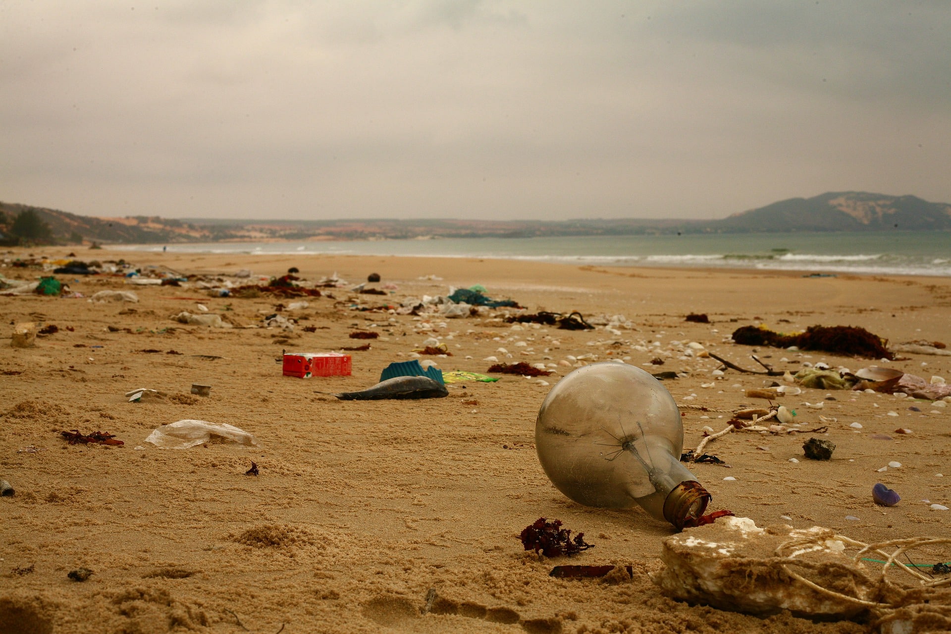 11 Littering Facts You Should Know for Better Waste Management this 2021