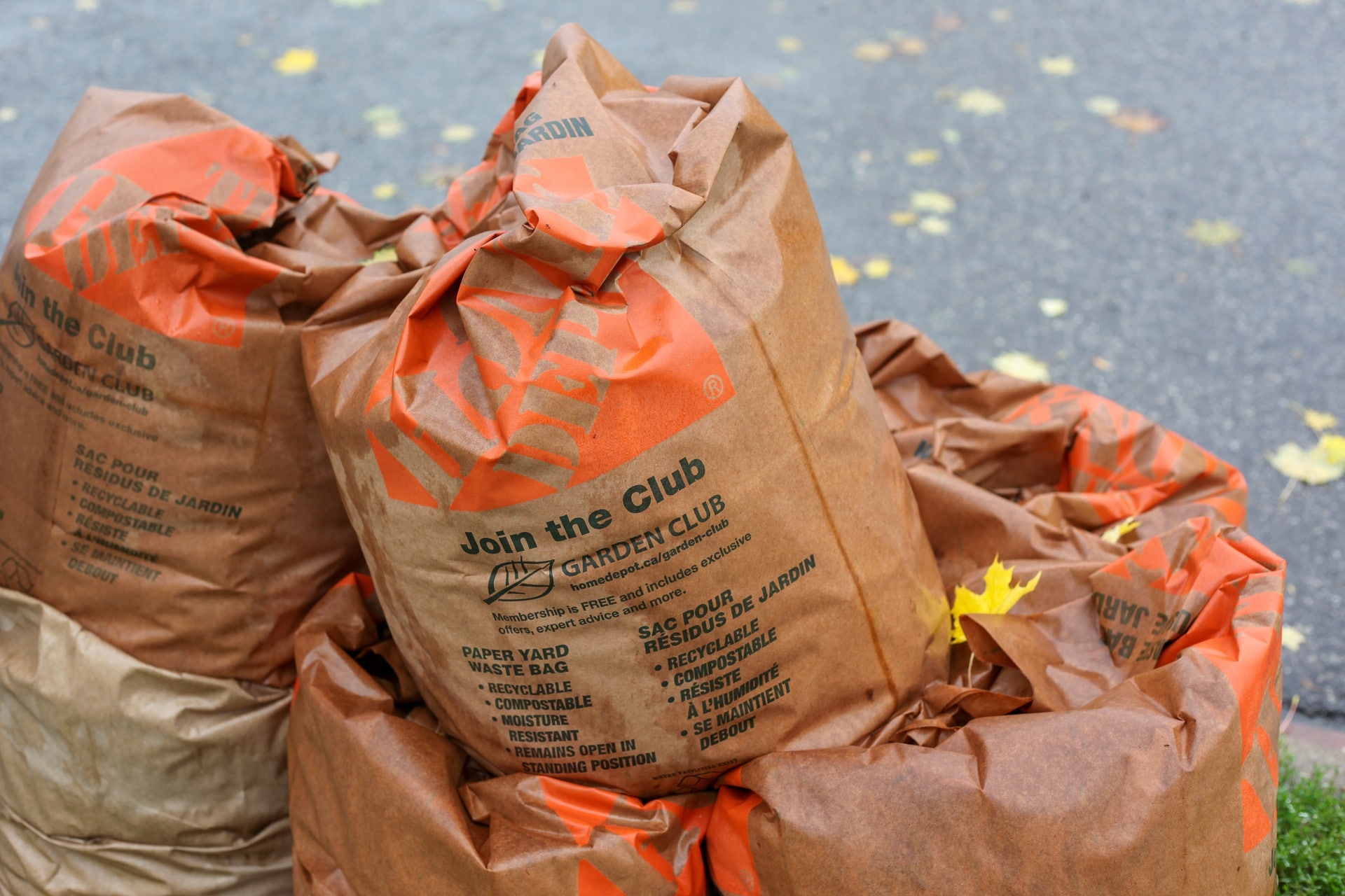 What is the difference between organic waste and inorganic waste?